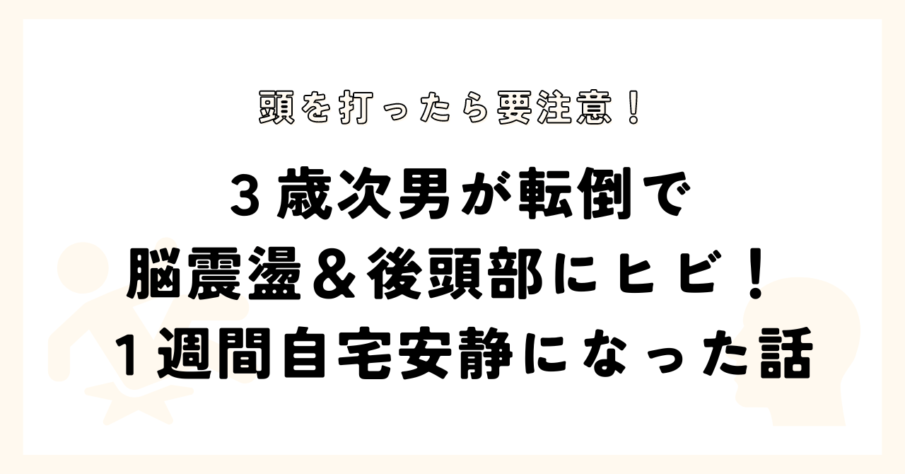 転倒で脳震盪＆後頭部にヒビが入った話